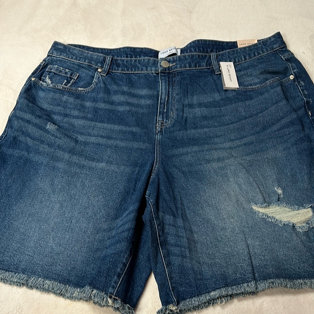 Lane Bryant / Women’s Shorts / Size: 24